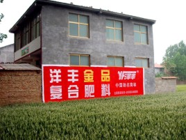 莆田如何让墙体广告展现最大化效果