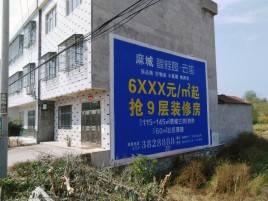 莆田墙体广告质量分析