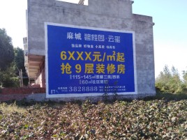 莆田品牌公司青睐的墙体广告