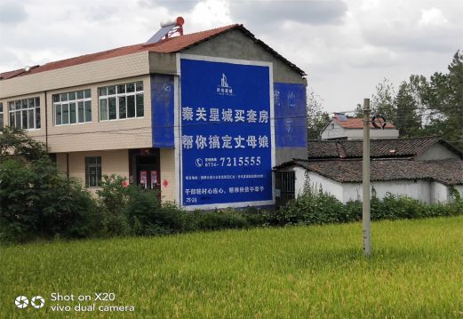 莆田决定墙体广告价格的因素有哪些?